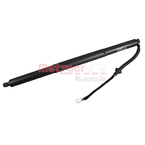 Elektromotor, zadná kapota METZGER 2115034