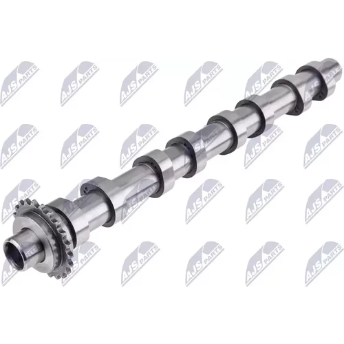 Vačkový hriadeľ RKZ-CT-005 /NTY/ - obr. 1