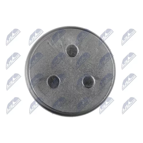 Piest brzdového strmeňa HTZ-TY-027 /NTY/ - obr. 4