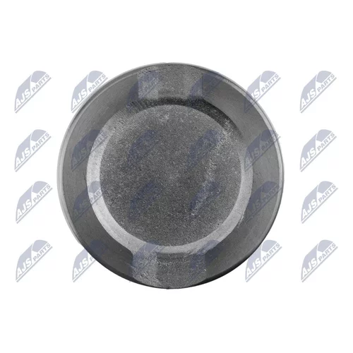 Piest brzdového strmeňa HTZ-TY-007 /NTY/ - obr. 4
