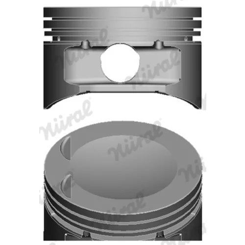 Piest NÜRAL 87-306800-20