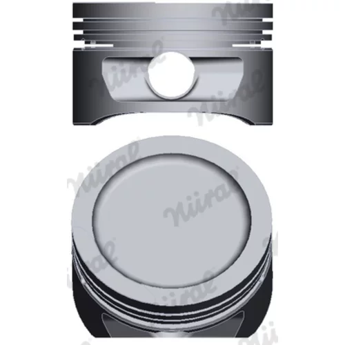 Piest NÜRAL 87-306907-10