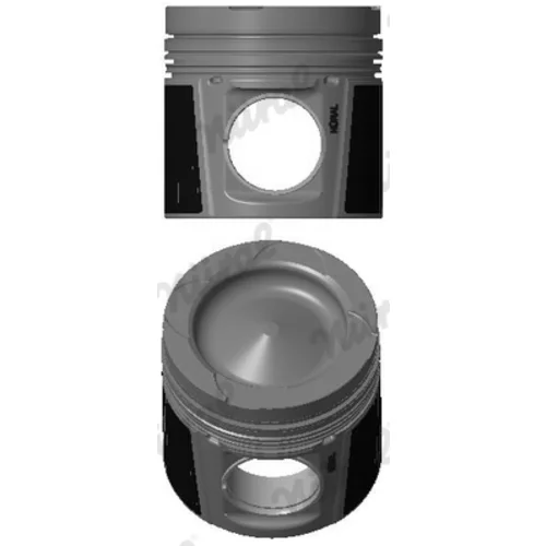 Piest 87-437500-00 /NÜRAL/ - obr. 1