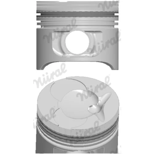 Piest 87-743100-10 /NÜRAL/