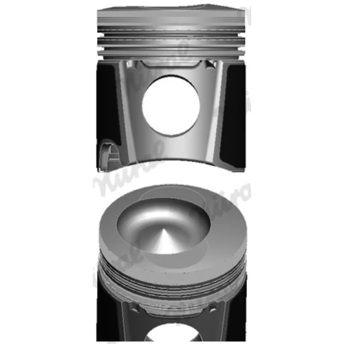 Piest 87-442400-00 /NÜRAL/ - obr. 1