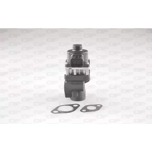 EGR ventil OPEN PARTS EGR3083.00