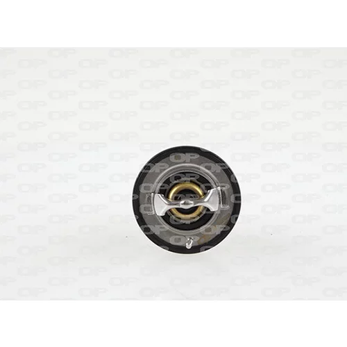 Termostat chladenia OPEN PARTS TRM1107.00