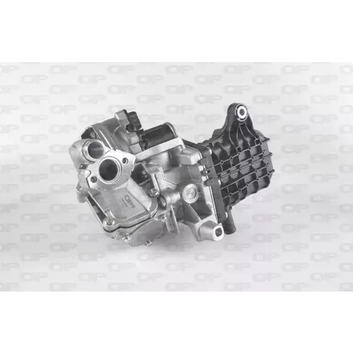EGR ventil OPEN PARTS EGR3039.00