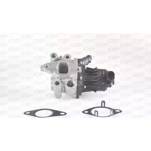 EGR ventil OPEN PARTS EGR3040.00