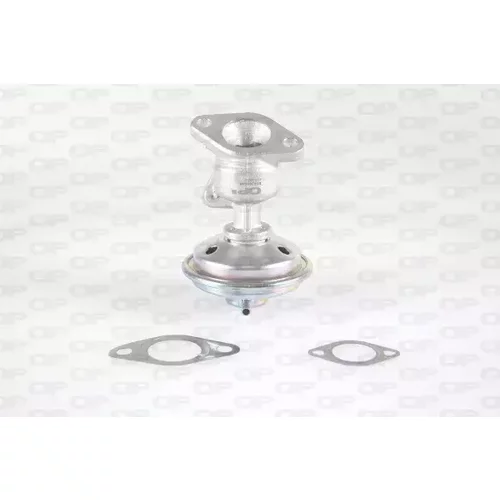 EGR ventil OPEN PARTS EGR3044.00