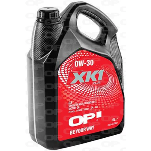 Motorový olej OPEN PARTS OEX0301.05