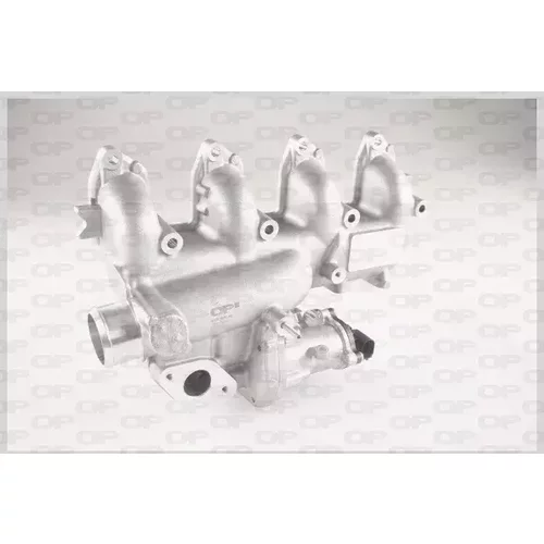 EGR ventil OPEN PARTS EGR3071.00