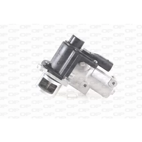 EGR ventil OPEN PARTS EGR3006.00