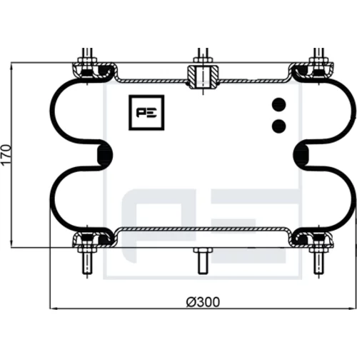 Mech pneumatického pruženia PE Automotive 084.406-73A