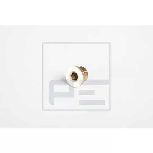 Skrutka olejovej vane PE Automotive 010.0093-00A
