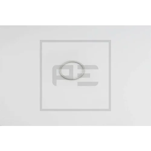 Tesniaci krúžok PE Automotive 076.220-00A