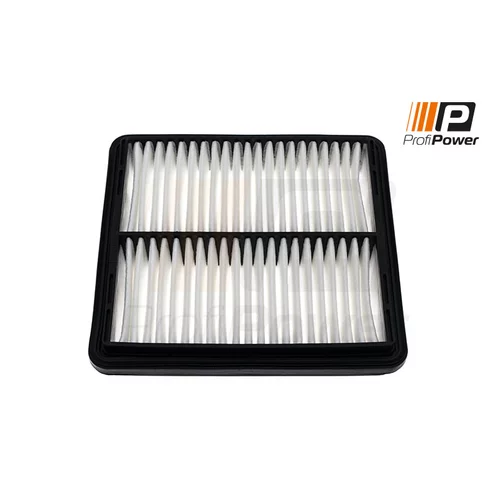 Vzduchový filter ProfiPower 2F0101