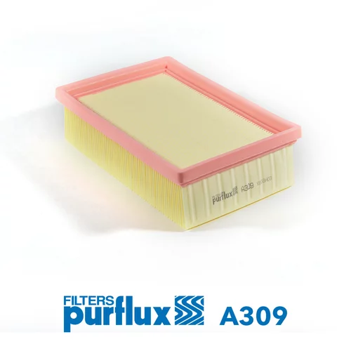 Vzduchový filter PURFLUX A309