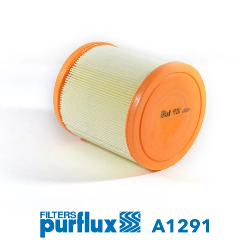 Vzduchový filter PURFLUX A1291