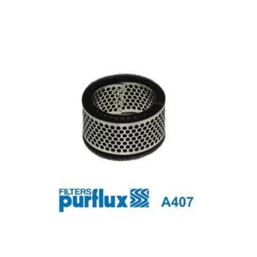 Vzduchový filter PURFLUX A407