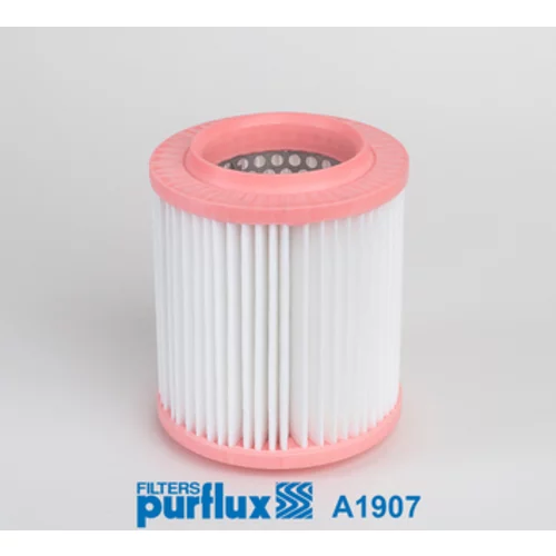 Vzduchový filter PURFLUX A1907