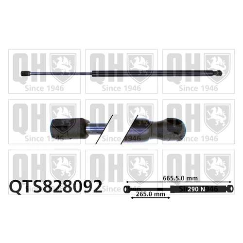 Pneumatická pružina, Batožinový/nákladný priestor QUINTON HAZELL QTS828092