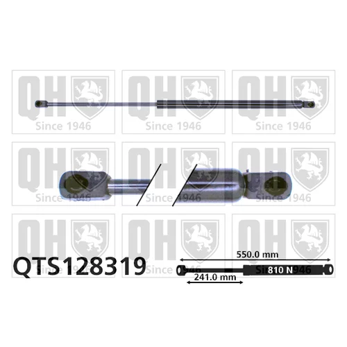 Pneumatická pružina, Batožinový/nákladný priestor QTS128319 (QUINTON HAZELL)