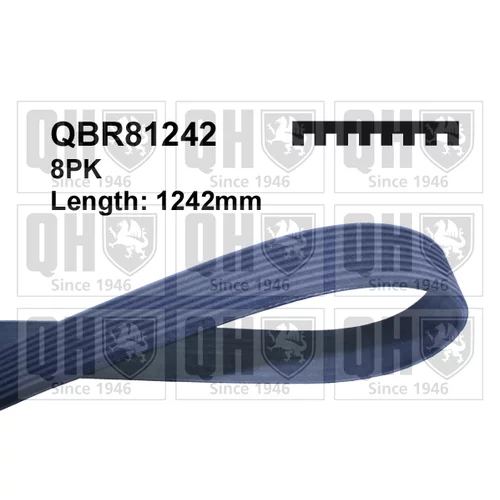 Ozubený klinový remeň QUINTON HAZELL QBR81242