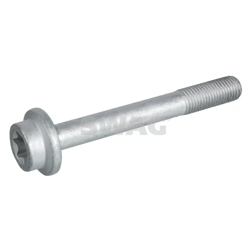 Skrutka, ozubene koleso-vackovy hriadel 40 94 6098 /SWAG/