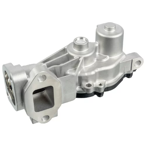 EGR ventil 89 10 9640 /SWAG/
