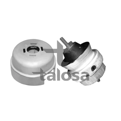 Uloženie motora TALOSA 61-06580