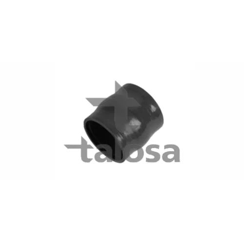 Hadica plniaceho vzduchu TALOSA 66-16348