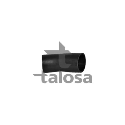 Hadica plniaceho vzduchu TALOSA 66-19417
