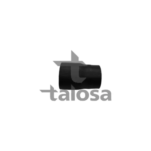 Hadica plniaceho vzduchu TALOSA 66-18836