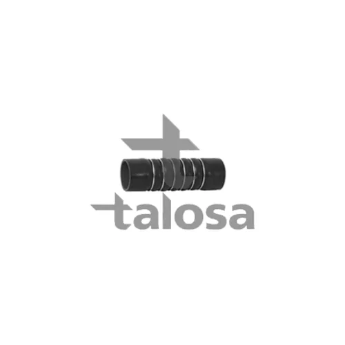 Hadica plniaceho vzduchu TALOSA 66-18860