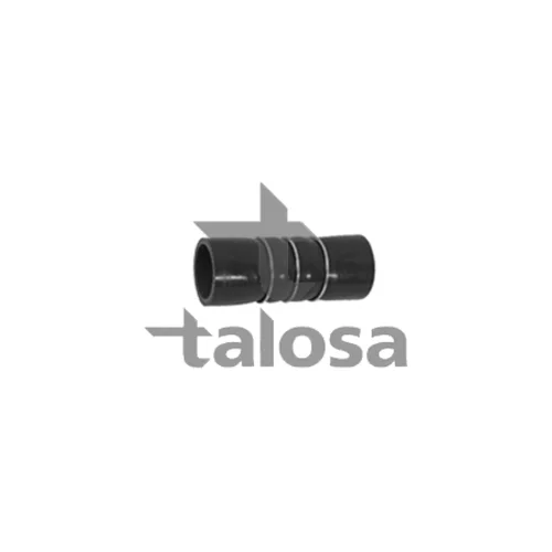 Hadica plniaceho vzduchu TALOSA 66-19189
