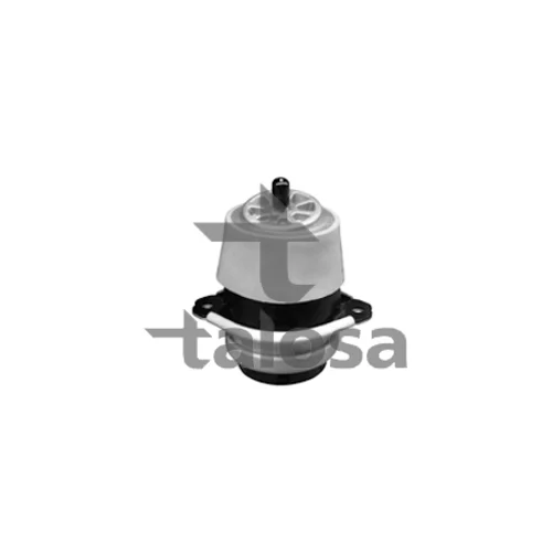 Uloženie motora TALOSA 61-06590
