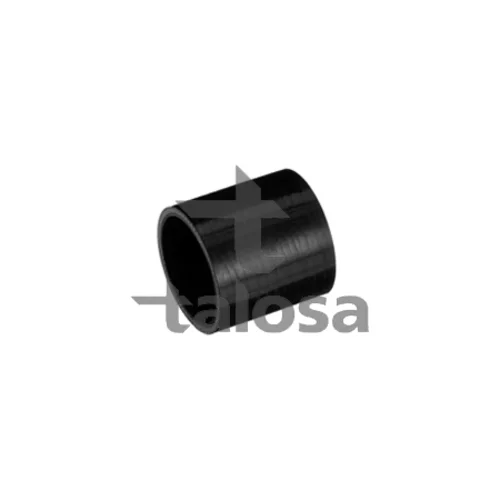 Hadica plniaceho vzduchu TALOSA 66-17960