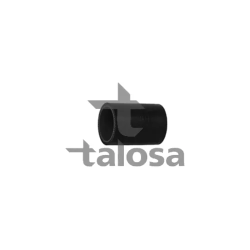 Hadica plniaceho vzduchu TALOSA 66-18863