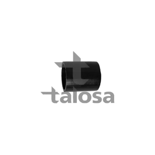 Hadica plniaceho vzduchu TALOSA 66-19236
