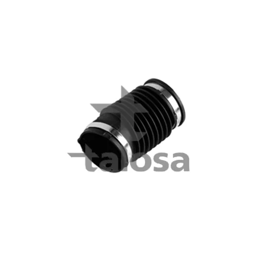 Nasávacie čerpadlo oleja TALOSA 69-18574