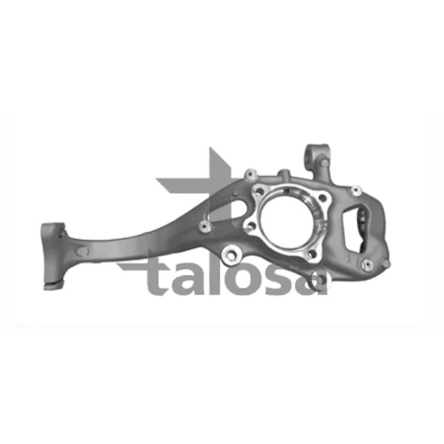 Čap nápravy zavesenia kolies TALOSA 79-01300R