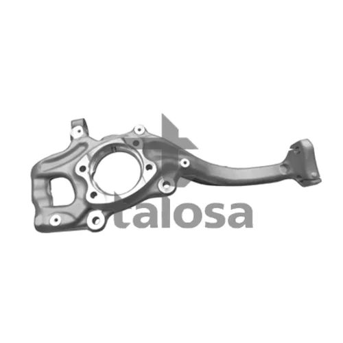 Čap nápravy zavesenia kolies TALOSA 79-01307L