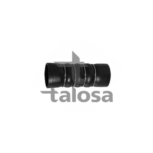 Hadica plniaceho vzduchu TALOSA 66-21179