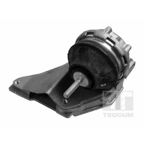 Uloženie motora TEDGUM 00055597