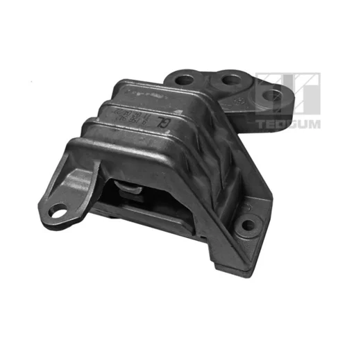 Uloženie motora TEDGUM 00507909