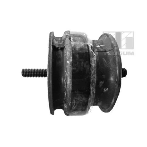 Uloženie motora TEDGUM 00221177