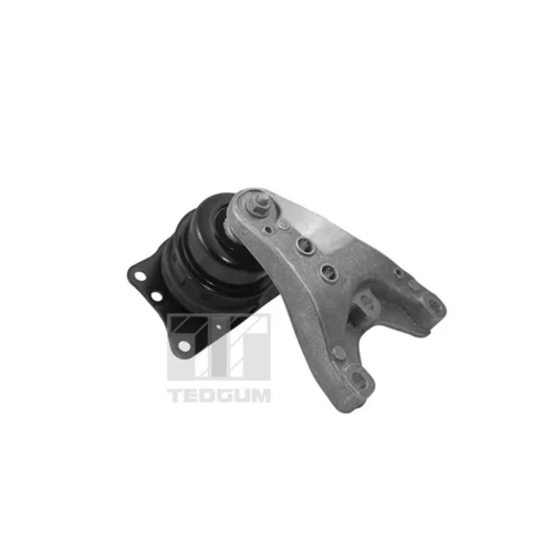 Uloženie motora TEDGUM 00729405