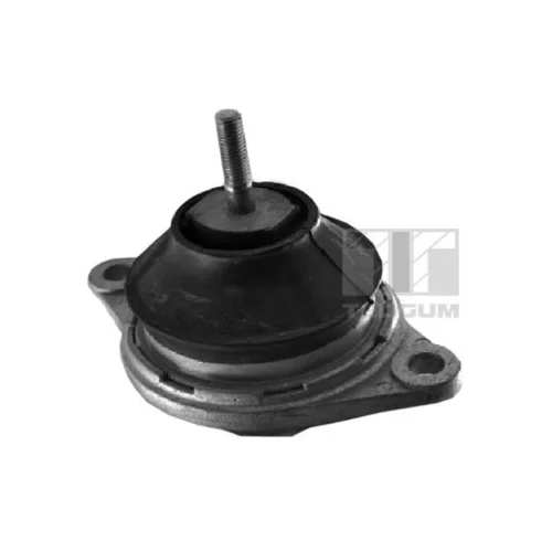Uloženie motora TEDGUM 00729824