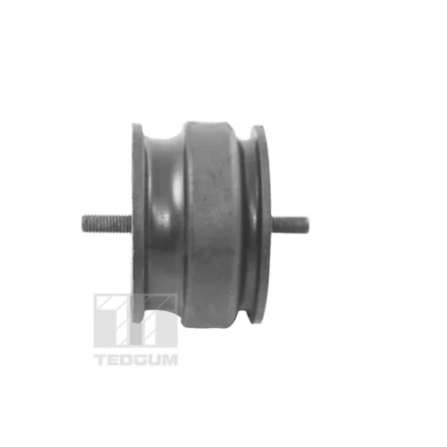 Uloženie motora 00221175 /TEDGUM/ - obr. 2